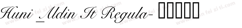 Huni_Aldin It Regula字体转换